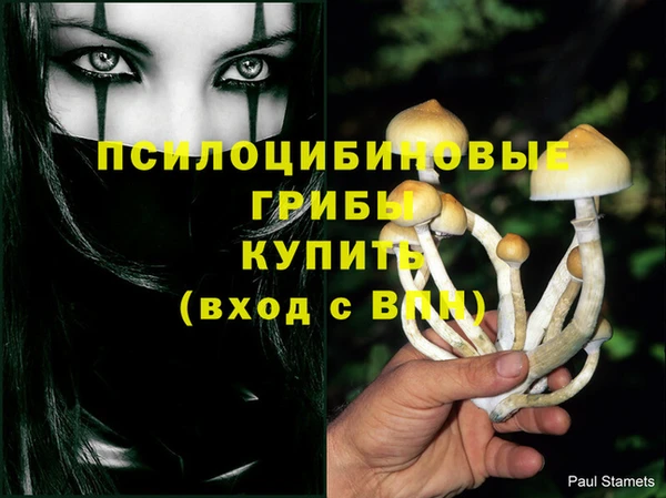 кокс Балабаново
